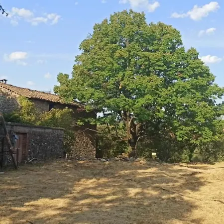 Les Mathieux Cevenol Saint Julien Les Rosiers